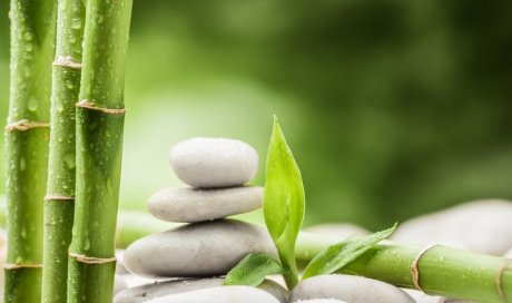 Masseuse, thérapeute corporelle et formatrice à la gestion du stress Lyon